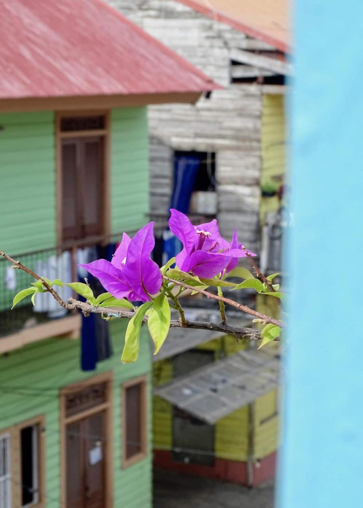 Bocas Style Apartment - Casco Viejo Панама Сити Екстериор снимка